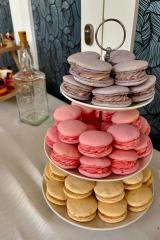 IMG-20251119-WA0028